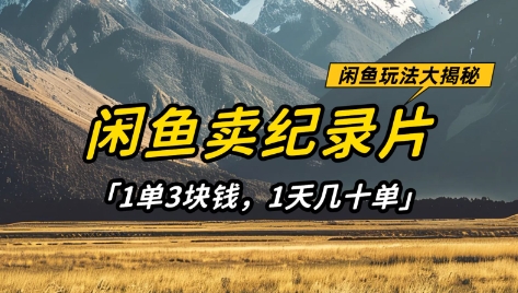 闲鱼卖纪录片1单3块钱，1天几十单，项目稳定有潜力-heixxmi