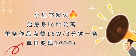 小红书超火的治愈系loft公寓，单条作品点赞16W，3分钟一条，单日变现数张-heixxmi