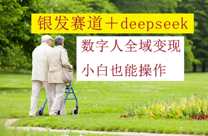 银发赛道+deepseek数字人全域变现，小白也能操作-heixxmi