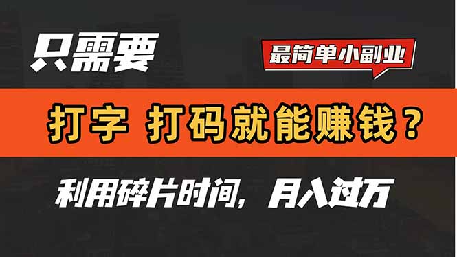 只需要打字，打码，就能赚钱？简单的赚钱小副业，利用碎片时间，月入过万-heixxmi