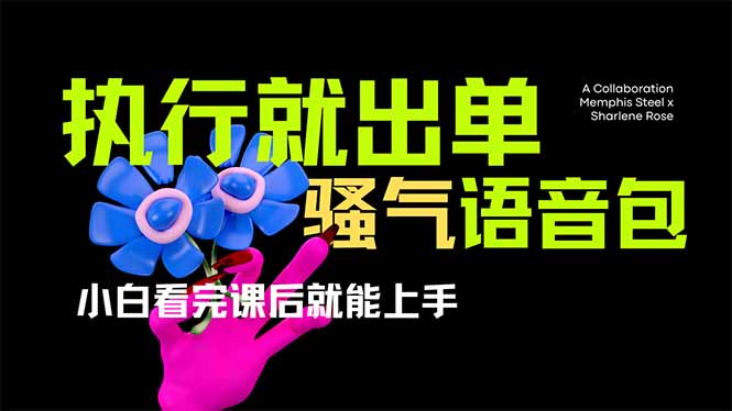 爆火全网的开车导航骚气语音包,只要执行就出单，小白看完课程就能实操...-heixxmi