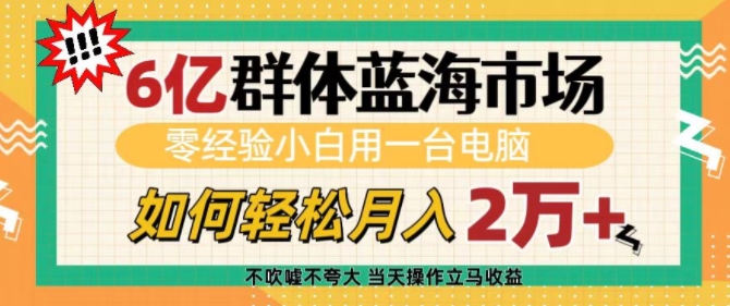 6亿群体蓝海市场，零经验小白用一台电脑，如何轻松月入过w【揭秘】-heixxmi