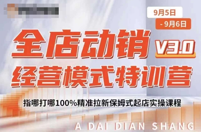 全店动销经营模式特训营，指哪打哪100%精准拉新保姆式起店实操课程-heixxmi