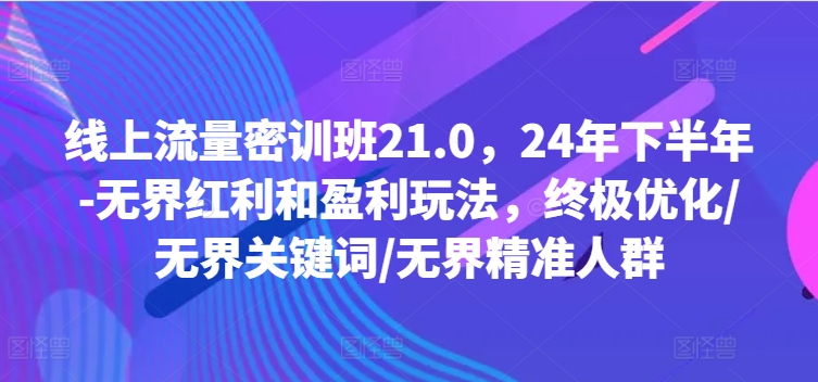 线上流量密训班21.0，24年下半年-无界红利和盈利玩法，终极优化/无界关键词/无界精准人群-heixxmi