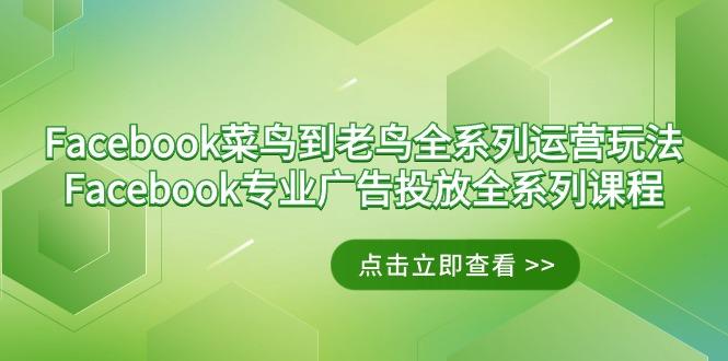 Facebook-菜鸟到老鸟全系列运营玩法+Facebook-专业广告投放全系列课程-heixxmi