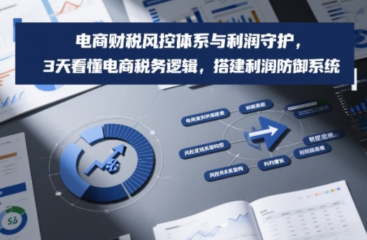 电商财税风控体系与利润守护，3天看懂电商税务逻辑，搭建利润防御系统-heixxmi