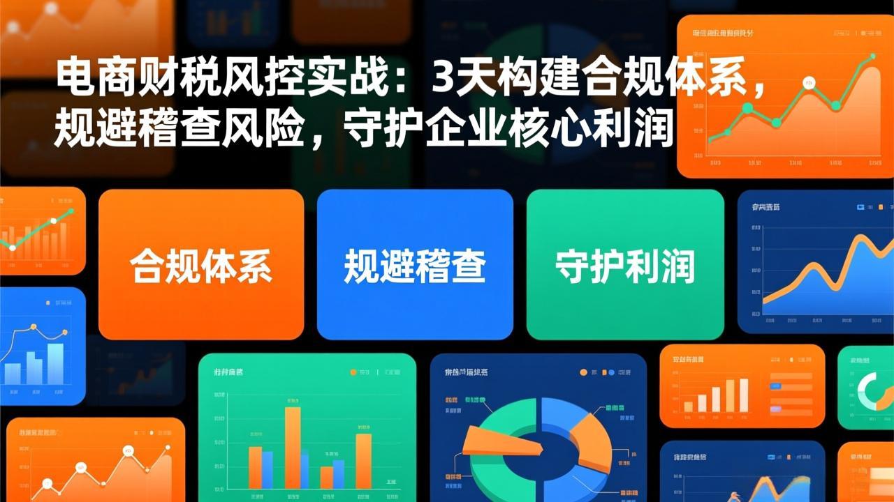 电商财税风控实战：3天构建合规体系，规避稽查风险，守护企业核心利润-heixxmi