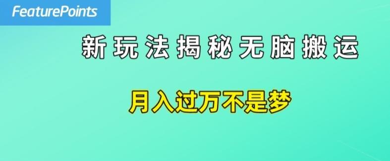 简单操作，每天50美元收入，搬运就是赚钱的秘诀【揭秘】-heixxmi