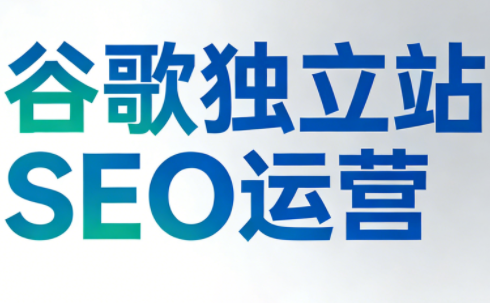 谷歌独立站SEO运营(更新2026)-heixxmi