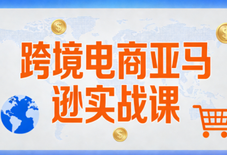 丝丝老师·跨境电商亚马逊实战课(更新2月)-heixxmi