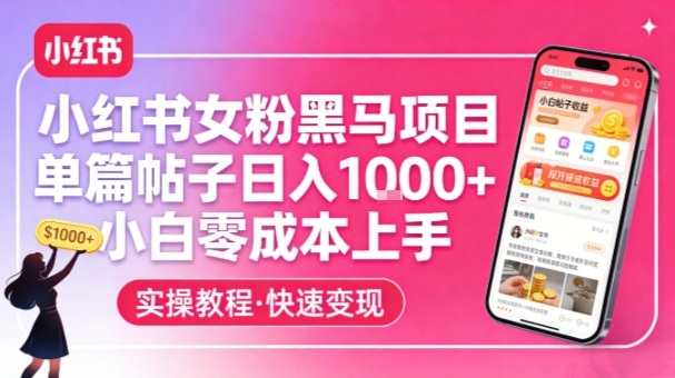 小红书女粉黑马项目，单篇帖子日入1k+，小白零成本上手-heixxmi