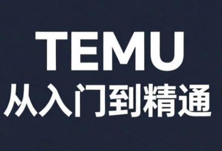 跨境麦冬·TEMU从入门到精通-heixxmi