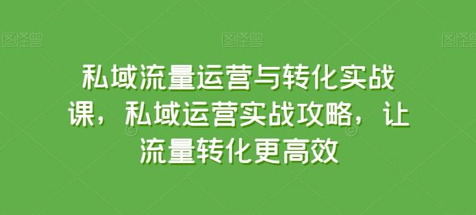 私域流量运营与转化实战课，私域运营实战攻略，让流量转化更高效-heixxmi