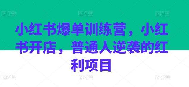小红书爆单训练营，小红书开店，普通人逆袭的红利项目-heixxmi
