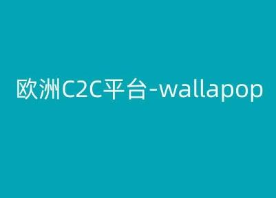 欧洲C2C平台-wallapop-kim跨境电商教程-heixxmi