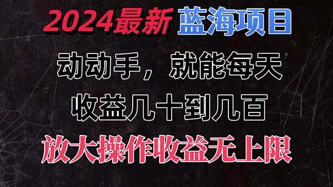 有手就行的2024全新蓝海项目，每天1小时收益几十到几百，可放大操作收...-heixxmi