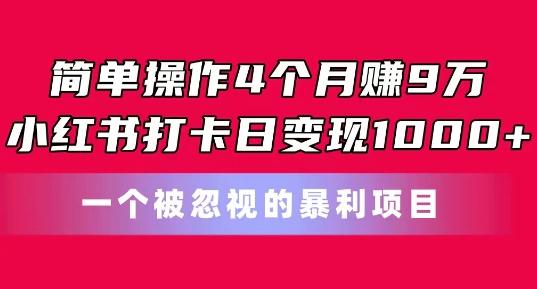 简单操作4个月赚9w，小红书打卡日变现1k，一个被忽视的暴力项目【揭秘】-heixxmi