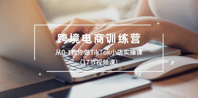 跨境电商训练营：从0-1教你做TikTok小店实操课(17节视频课-heixxmi