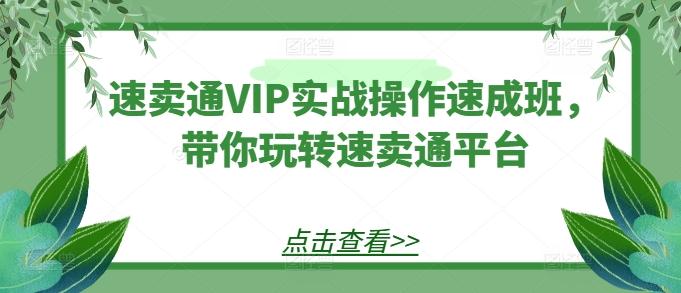 速卖通VIP实战操作速成班，带你玩转速卖通平台-heixxmi