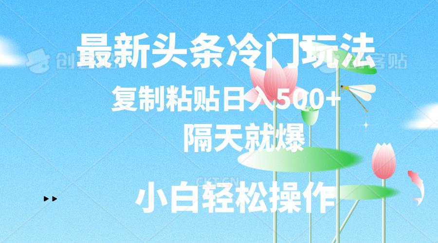 最新头条冷门玩法，隔天就爆，复制粘贴日入500+-heixxmi