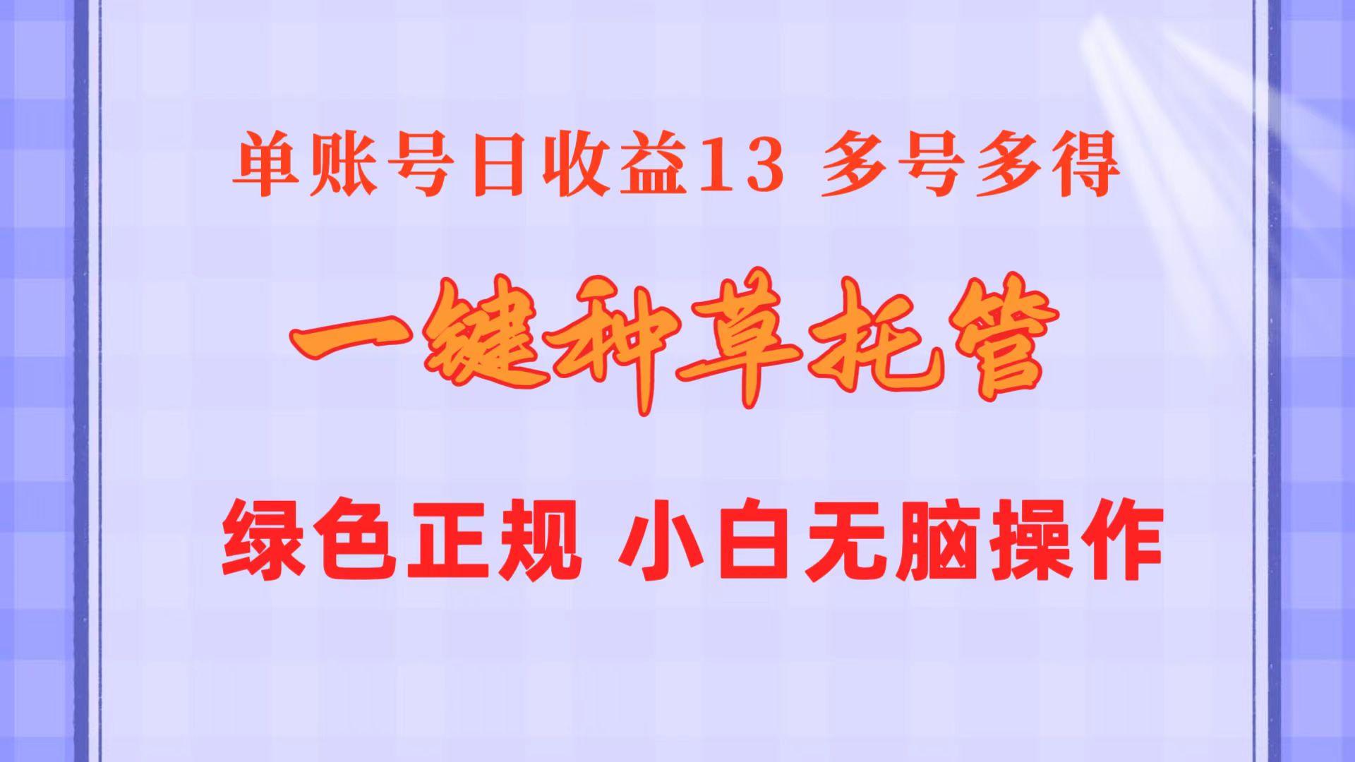 一键种草托管 单账号日收益13元  10个账号一天130  绿色稳定 可无限推广-heixxmi