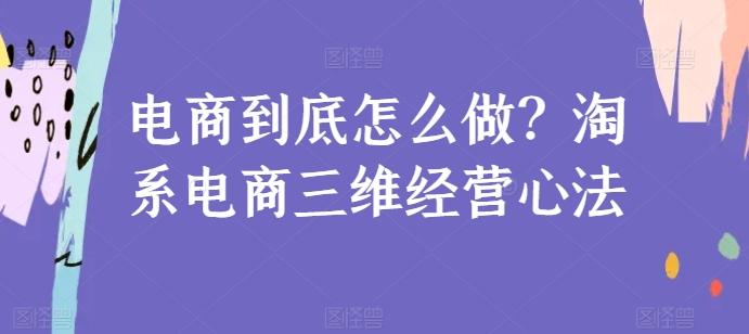 电商到底怎么做？淘系电商三维经营心法-heixxmi