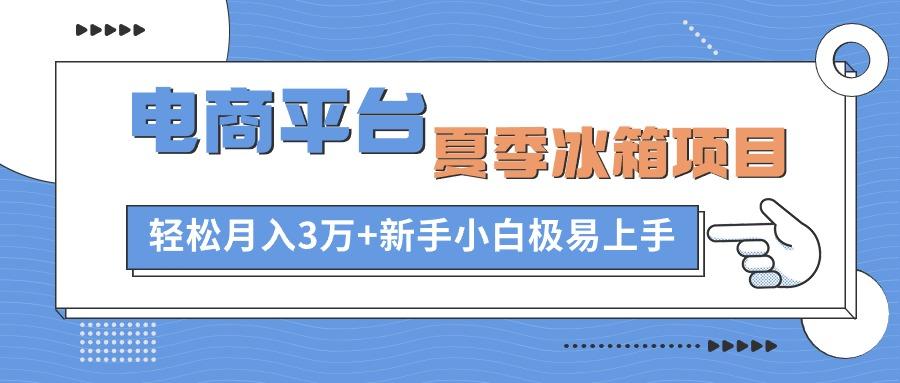电商平台夏季冰箱项目，轻松月入3万+，新手小白极易上手-heixxmi