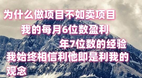 做项目不如卖项目，每月6位数盈利，年7位数经验-heixxmi