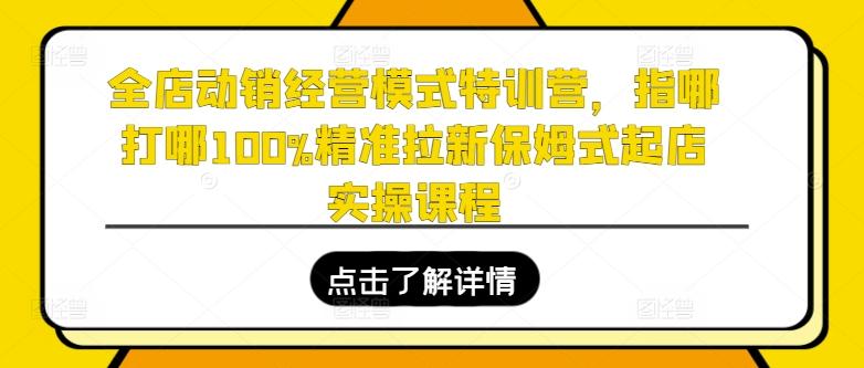 全店动销经营模式特训营，指哪打哪100%精准拉新保姆式起店实操课程-heixxmi