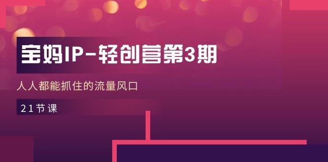 宝妈IP-轻创营第3期，人人都能抓住的流量风口(21节课-heixxmi