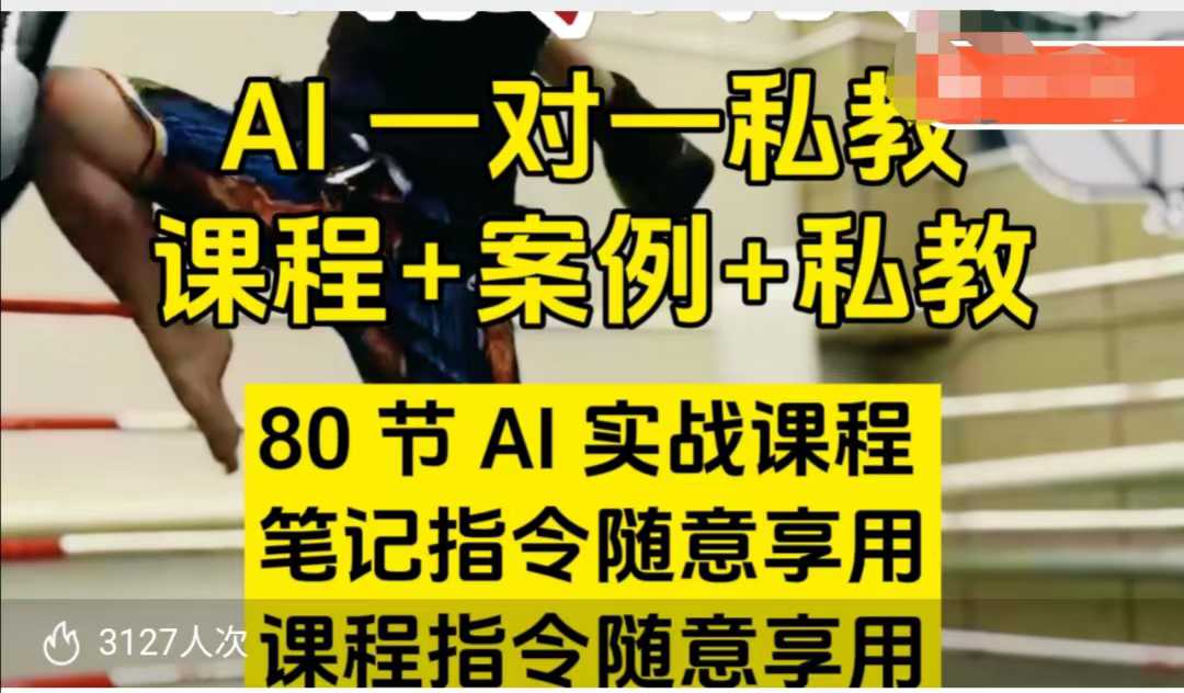 AI指令实战课，课程+案例，80节AI实战课程，笔记指令随意享用，课程指令随意享用(更新26年3月)-heixxmi