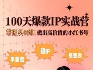 小红书100天爆款IP实战营，带你从0到1做出高价值的小红书号-heixxmi