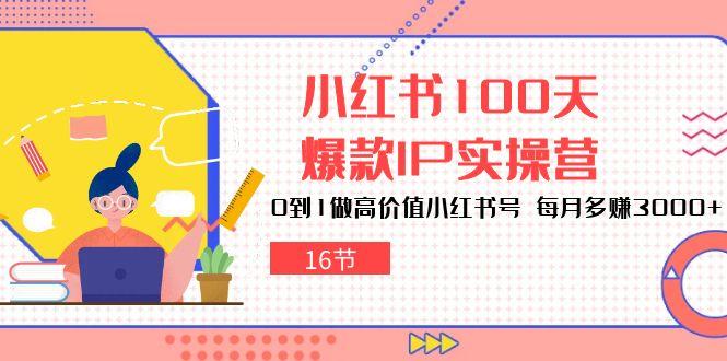 小红书100天-爆款IP实操营，0到1做高价值小红书号 每月多赚3000+(16节-heixxmi