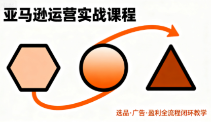 毕方电商·亚马逊全站会员课程(更新3月)-heixxmi