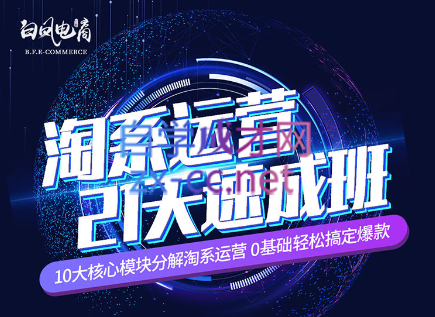 淘系运营21天速成班(更新24年5月)-heixxmi