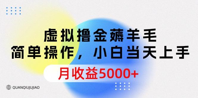 (9864期)虚拟撸金薅羊毛，简单操作，小白当天上手，月收益5000+-heixxmi