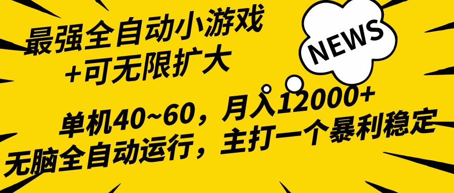 (10046期)2024最新全网独家小游戏全自动，单机40~60,稳定躺赚，小白都能月入过万-heixxmi