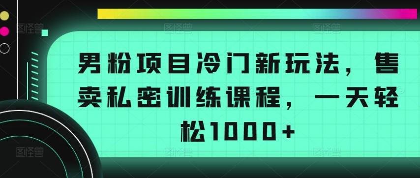 男粉项目冷门新玩法，售卖私密训练课程，一天轻松1000+【揭秘】-heixxmi
