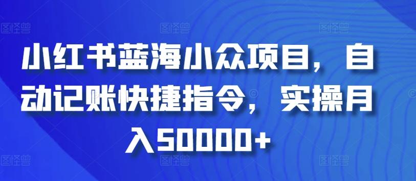 小红书蓝海小众项目，自动记账快捷指令，实操月入50000+【揭秘】-heixxmi