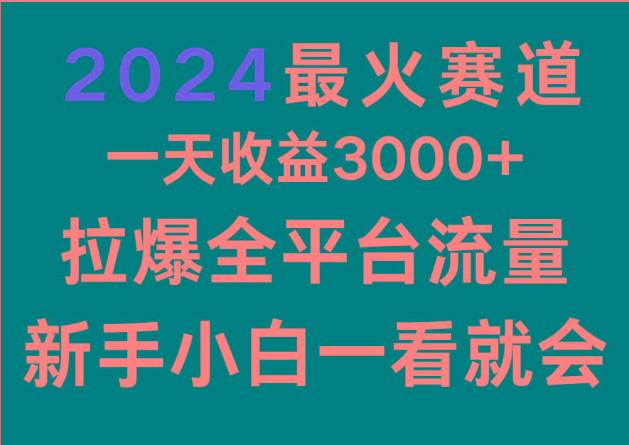 2024最火赛道，一天收一3000+.拉爆全平台流量，新手小白一看就会-heixxmi