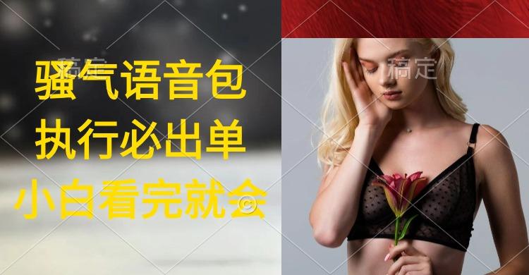 (9589期)执行就出单，日入2000+，超火骚气语音包，小白看完课程就能马上实操-heixxmi