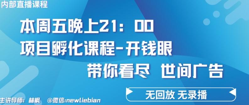 4.26日内部回放课程《项目孵化-开钱眼》赚钱的底层逻辑【揭秘】-heixxmi