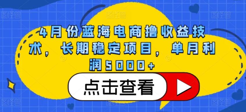 4月份蓝海电商撸收益技术，长期稳定项目，单月利润5000+【揭秘】-heixxmi