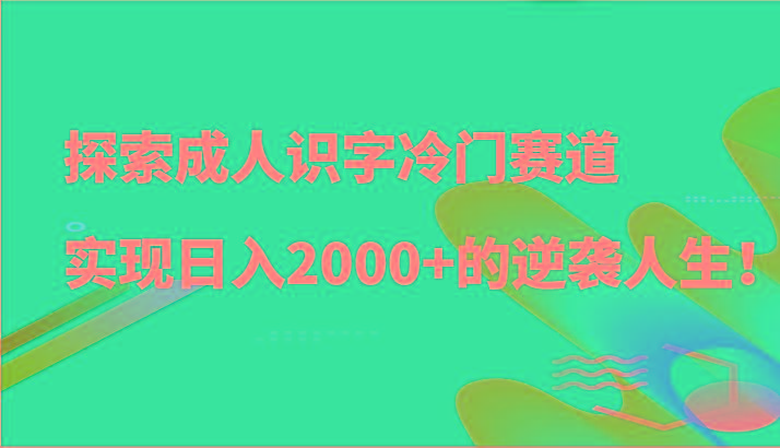 探索成人识字冷门赛道，实现日入2000+的逆袭人生！-heixxmi