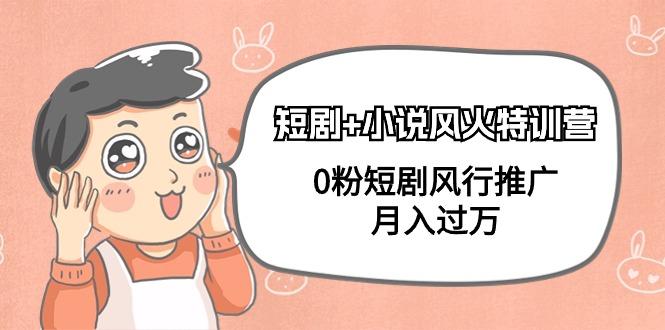 (9374期)短剧+小说风火特训营，0粉短剧风行推广，月入过万(102节课)-heixxmi
