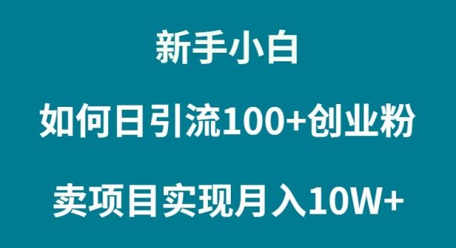 (9556期)新手小白如何通过卖项目实现月入10W+-heixxmi