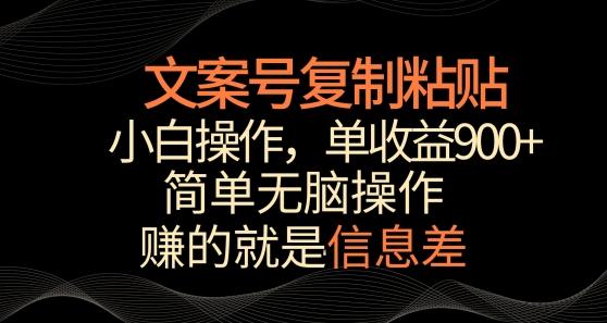 文案号掘金，简单复制粘贴，小白操作，单作品收益900+【揭秘】-heixxmi