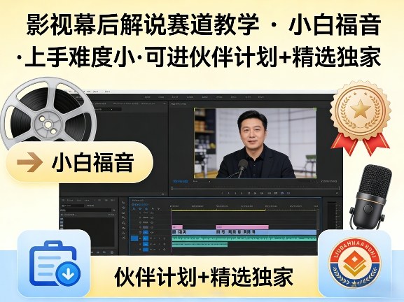 某大佬的影视幕后解说赛道教学，小白福音，上手难度小，可进伙伴计划+精选独家-heixxmi