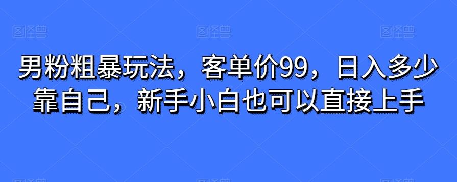 男粉粗暴玩法，客单价99，日入多少靠自己，新手小白也可以直接上手-heixxmi