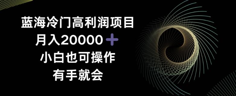 蓝海冷门高利润项目月入2000，小白也可操作有手就会-heixxmi